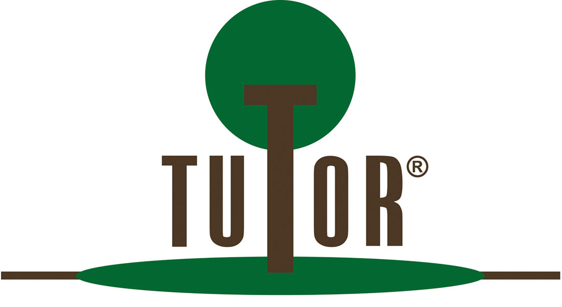 Tutor Company